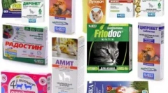 Navodila za uporabo pripravka delcide (2 ml)